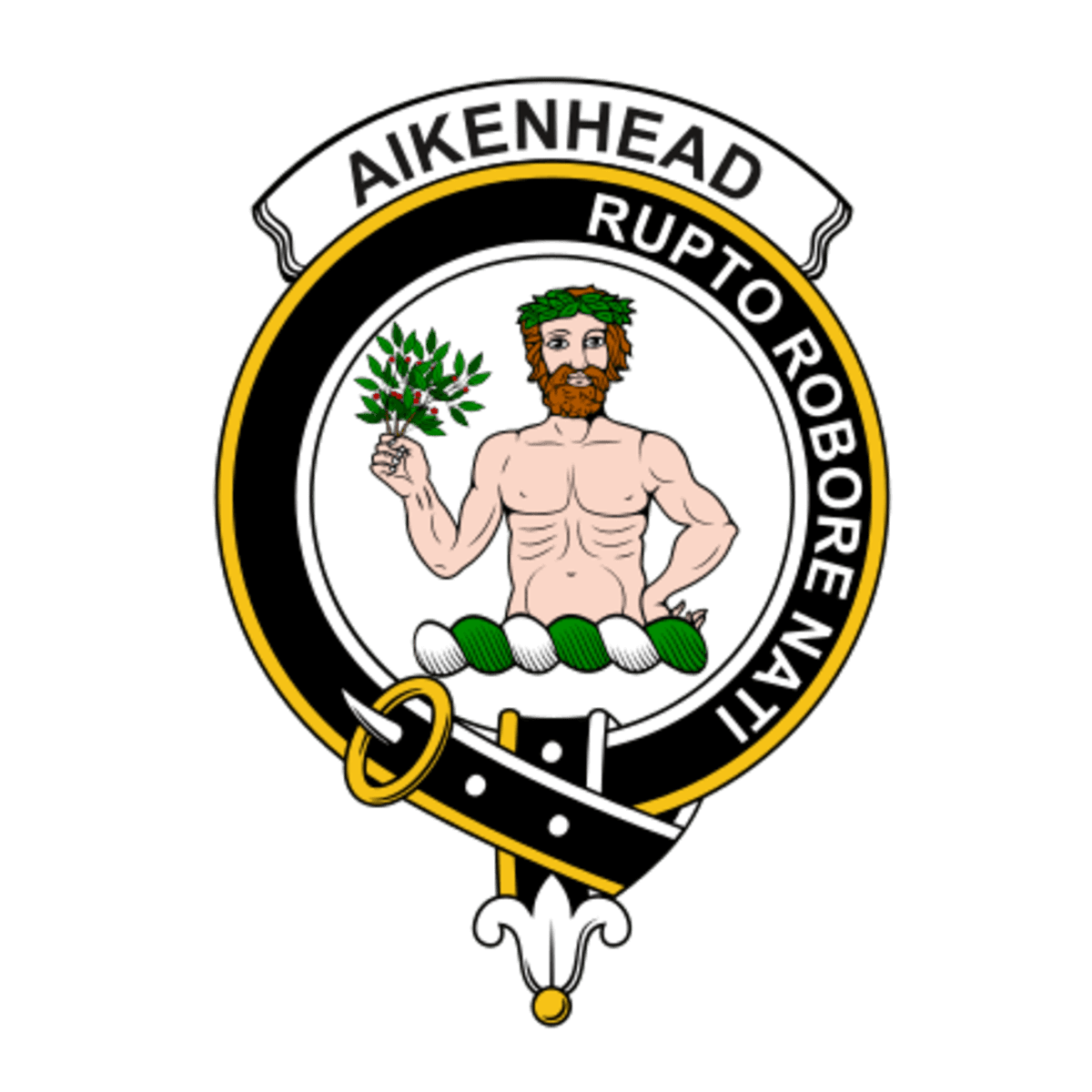 Clan Aikenhead Crest