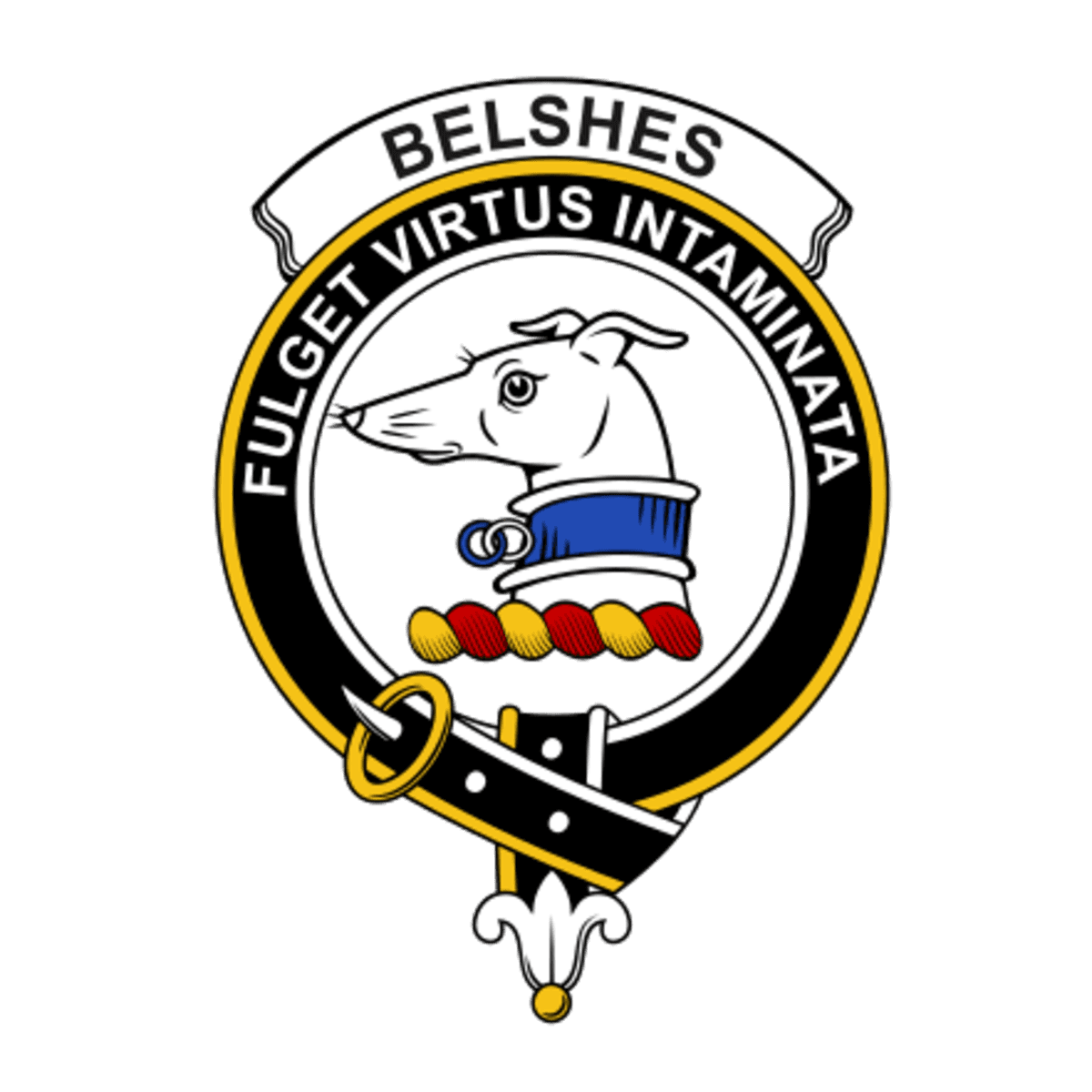 Clan Belshes (or Belsches) Crest