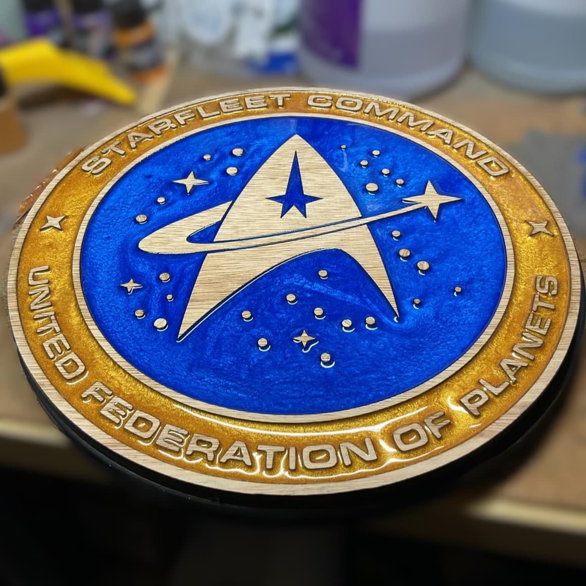 Star Trek Starfleet Command Handcrafted Wooden & Resin Sign - Image 1