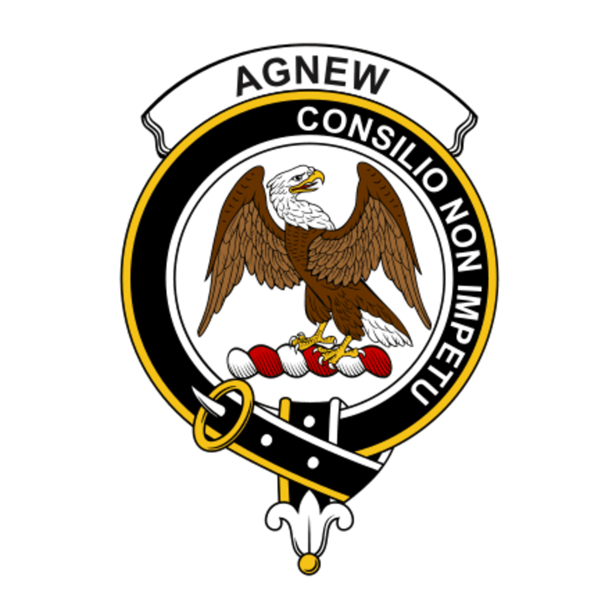 Clan Agnew Crest