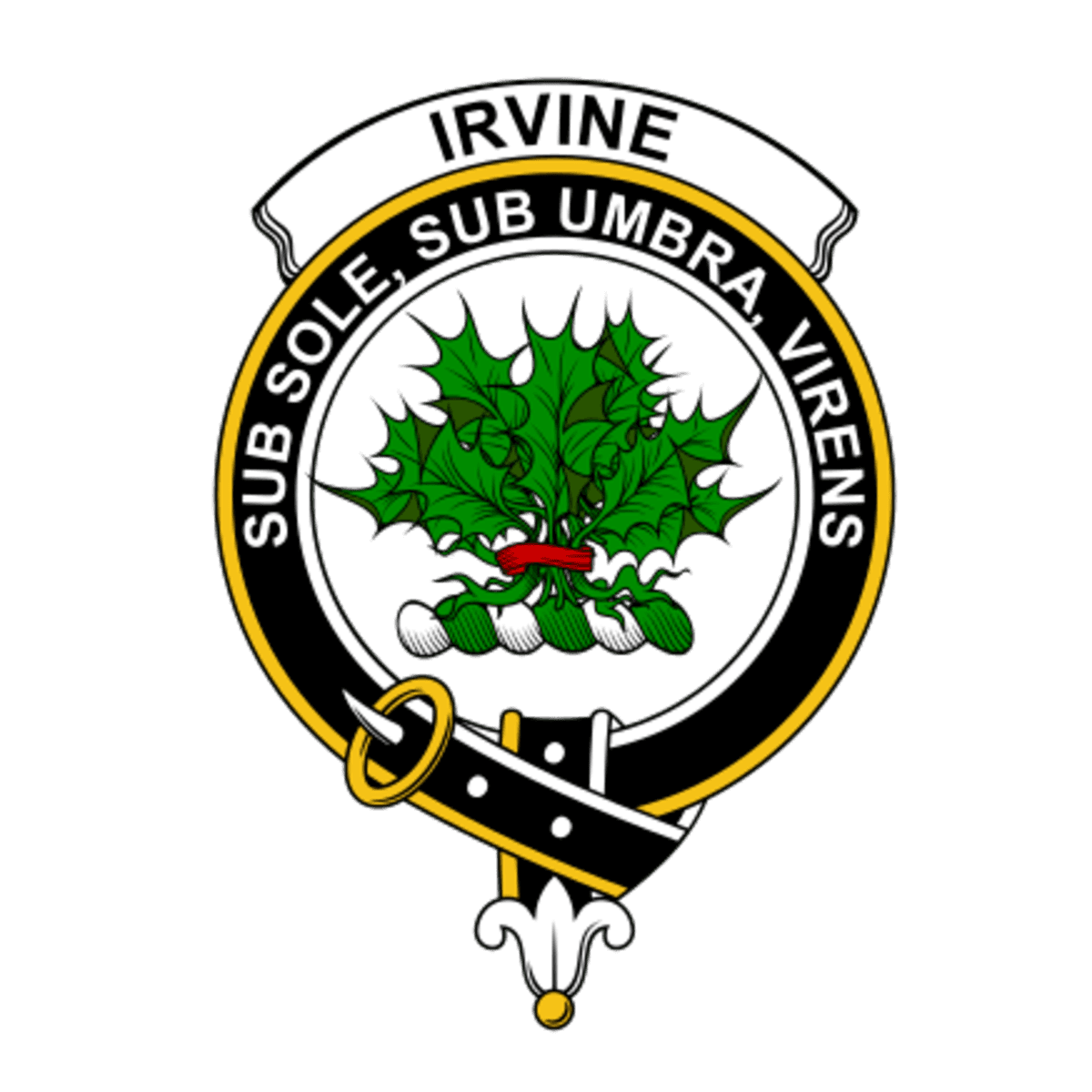 Clan Irvine Crest